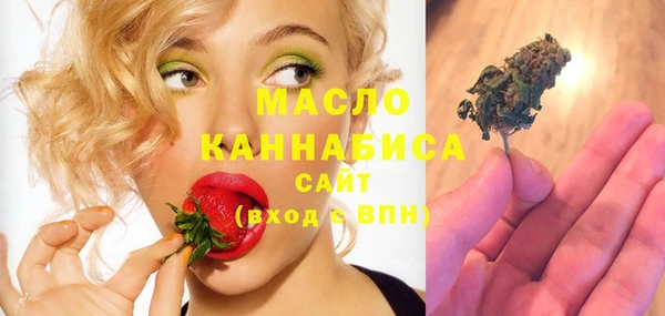 крисы Няндома