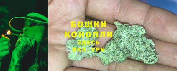 крисы Няндома