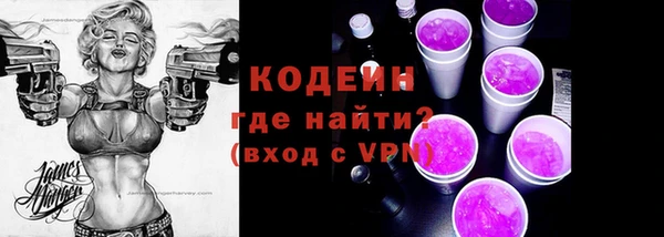 крисы Няндома