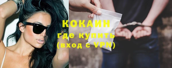 крисы Няндома