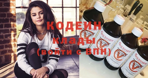 крисы Няндома