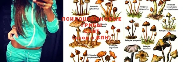 MDMA Premium VHQ Остров