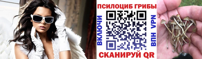 Галлюциногенные грибы Psilocybe Пустошка