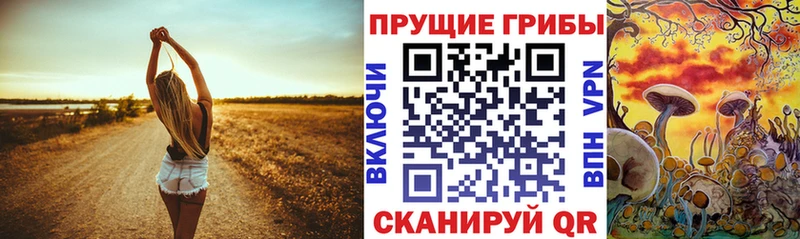Галлюциногенные грибы прущие грибы Пустошка